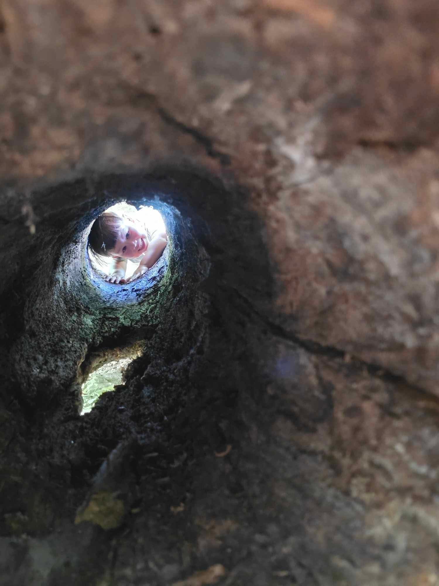 Child peeking through a log